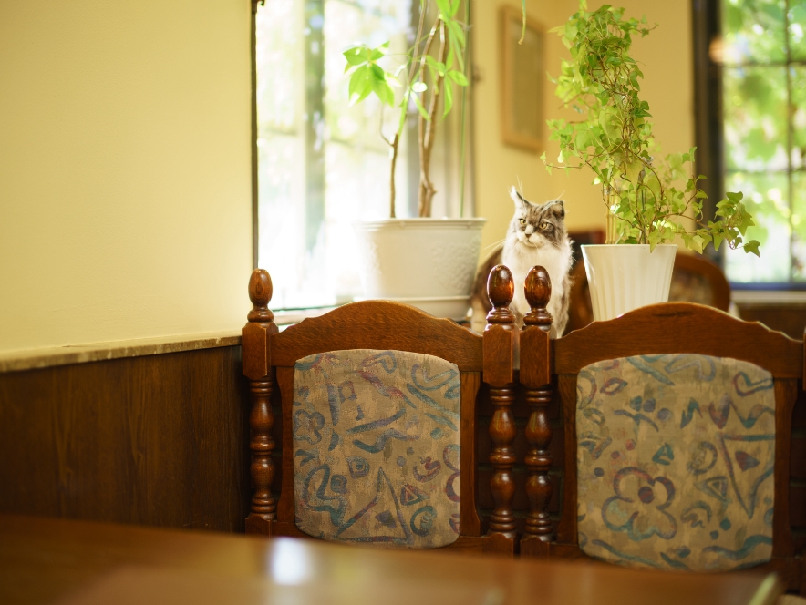 レトロカフェ 異人館